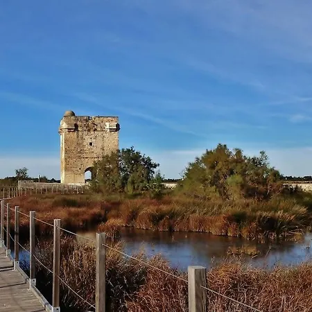 Au Coeur De La Camargue Avec Piscine Privative * Saint-Laurent-dʼAigouze